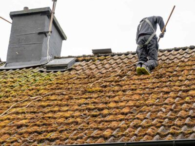 Roof Moss Cleaning - London Surrey