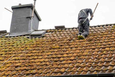 <strong>Roof Cleaning</strong> & Moss Removal London & Surrey